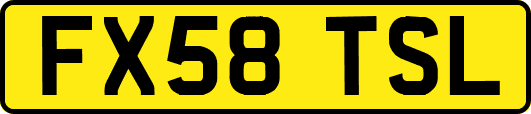 FX58TSL
