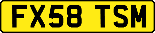 FX58TSM