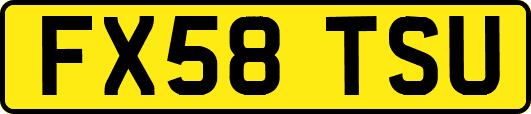 FX58TSU