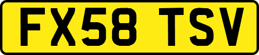 FX58TSV
