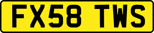 FX58TWS