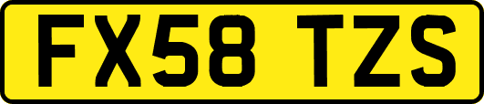 FX58TZS