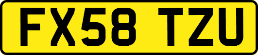FX58TZU