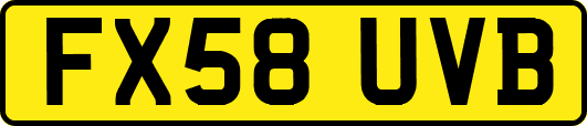 FX58UVB