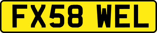 FX58WEL