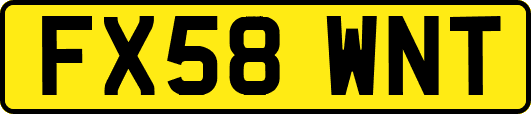 FX58WNT