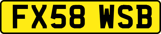 FX58WSB