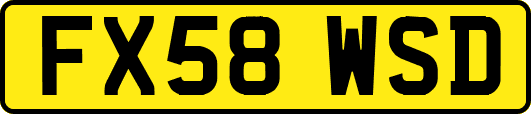FX58WSD
