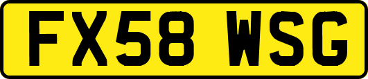FX58WSG