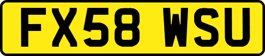 FX58WSU