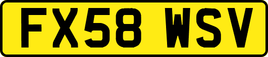 FX58WSV