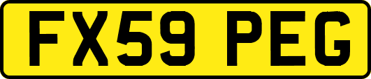FX59PEG