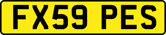 FX59PES