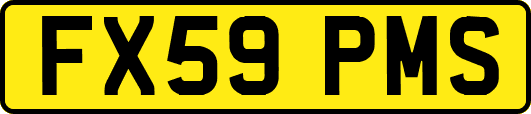 FX59PMS