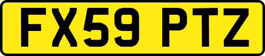FX59PTZ