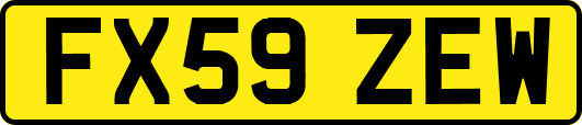 FX59ZEW