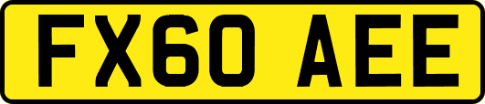 FX60AEE