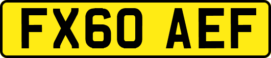 FX60AEF