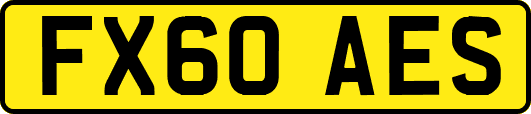FX60AES