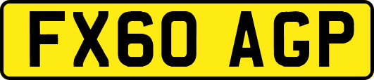 FX60AGP