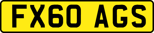 FX60AGS
