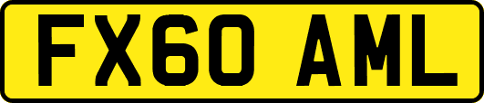 FX60AML