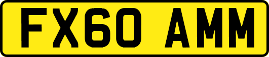 FX60AMM