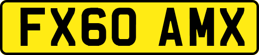 FX60AMX