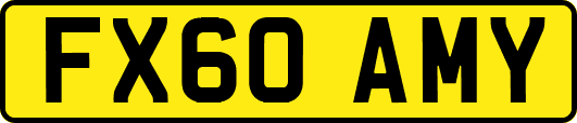 FX60AMY