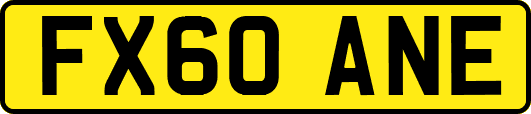 FX60ANE