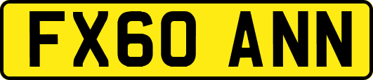 FX60ANN