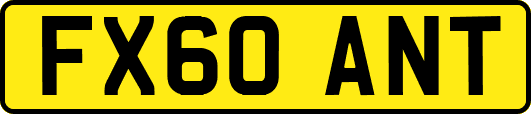 FX60ANT