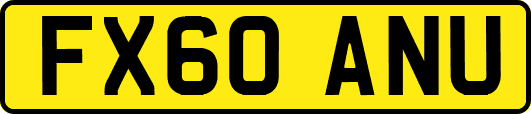 FX60ANU