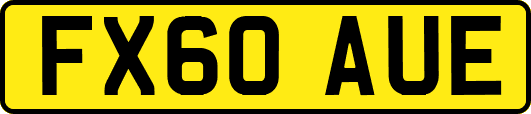 FX60AUE