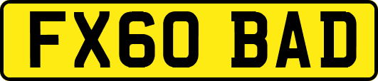 FX60BAD