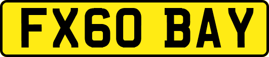 FX60BAY
