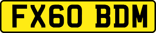 FX60BDM