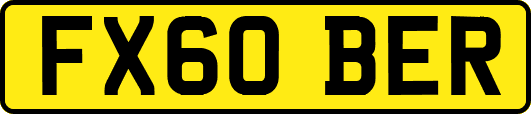 FX60BER
