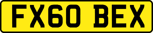 FX60BEX