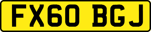 FX60BGJ