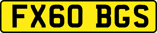 FX60BGS