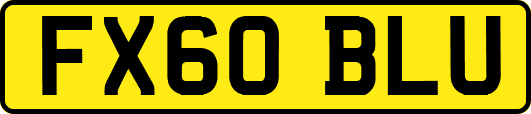 FX60BLU