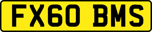 FX60BMS