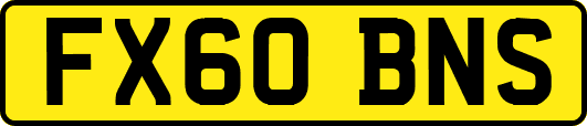 FX60BNS