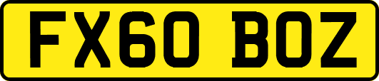 FX60BOZ