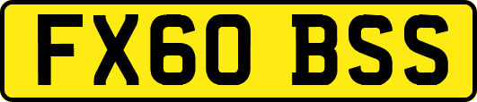 FX60BSS