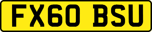 FX60BSU