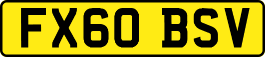 FX60BSV