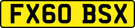 FX60BSX