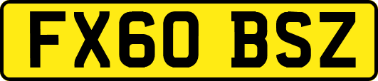 FX60BSZ